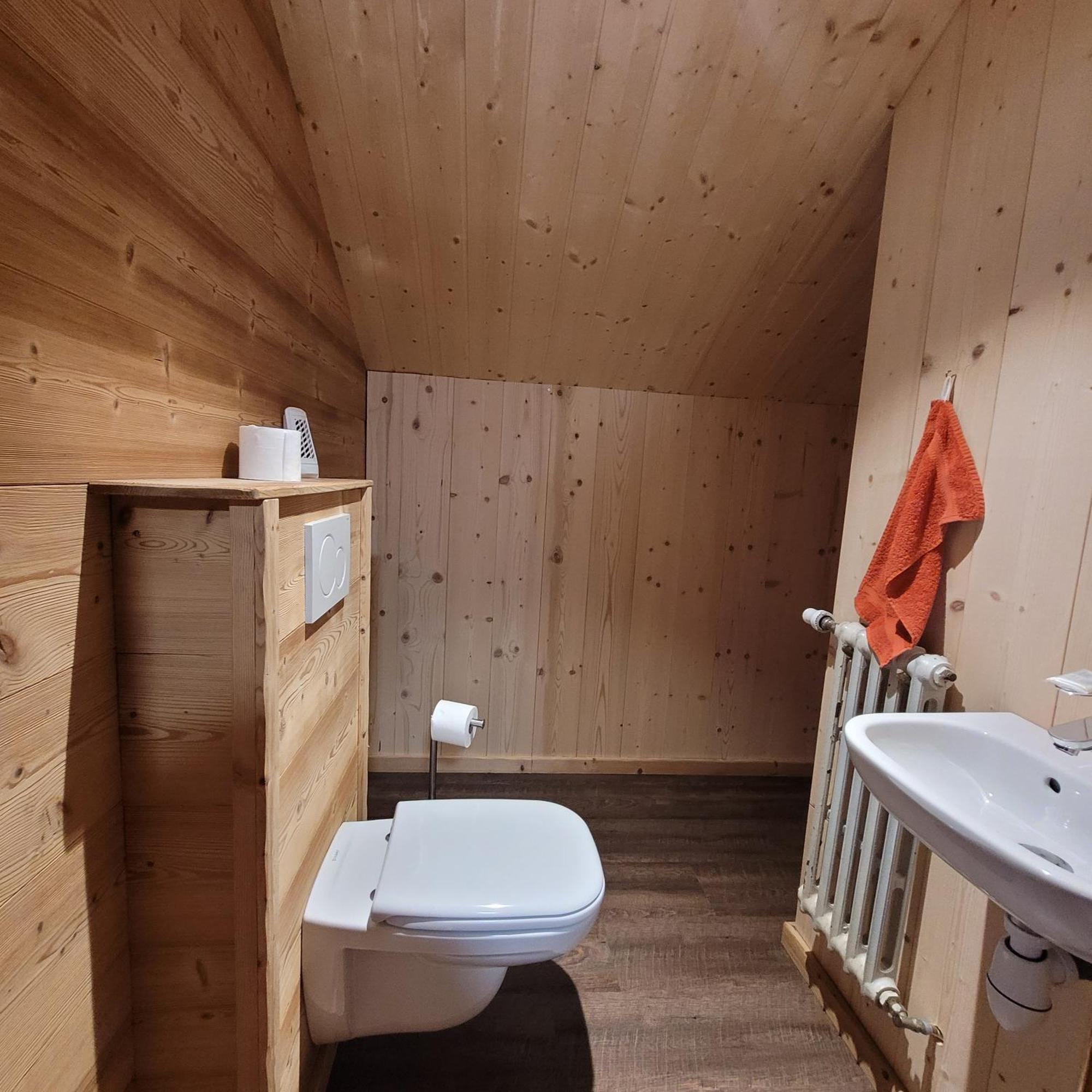 Chalet Des Cyclistes La Bresse Buitenkant foto